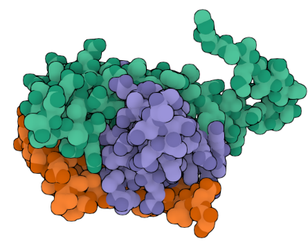 Beautiful RBX1 Antibody